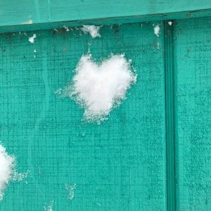 Meet your Posher, Rachelle